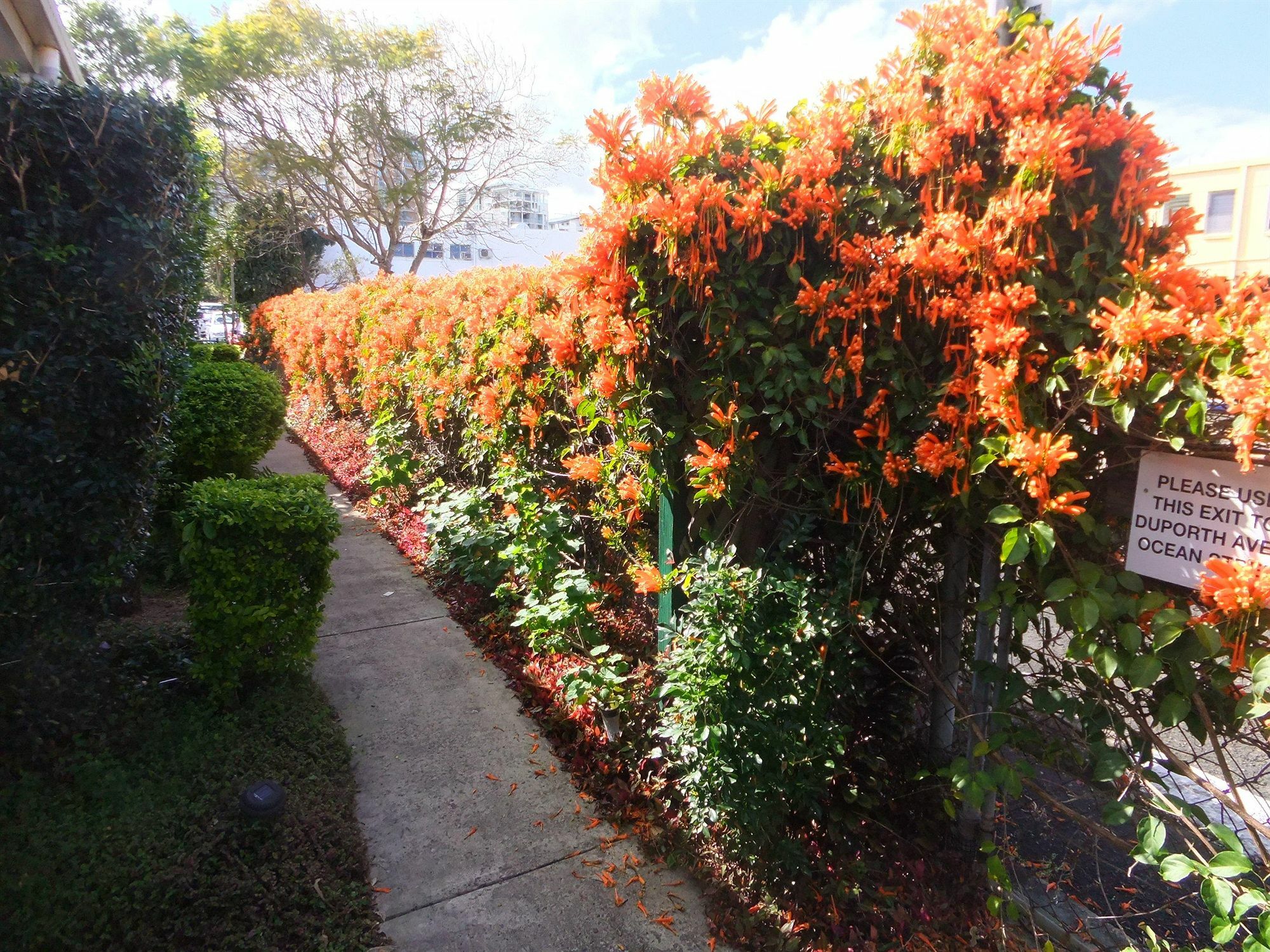 Top Spot Motel Maroochydore Extérieur photo